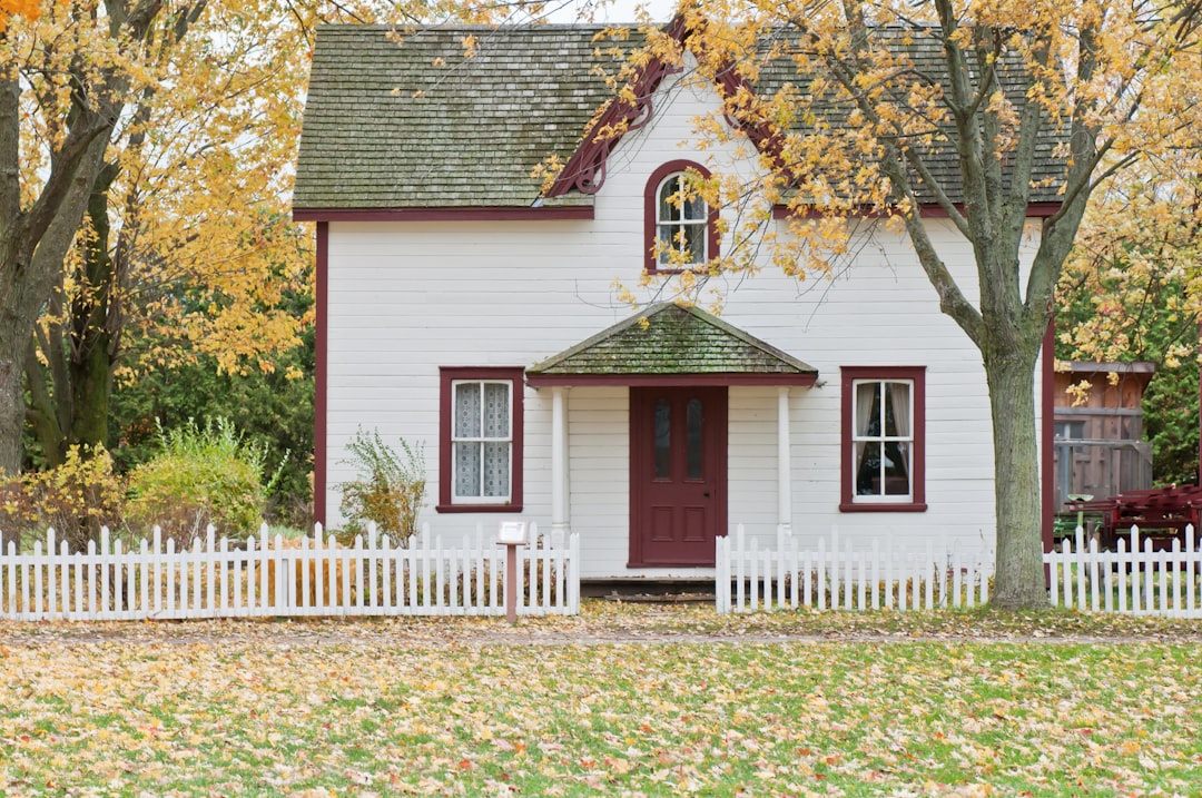 Modern Architectural Trends in UK Housing